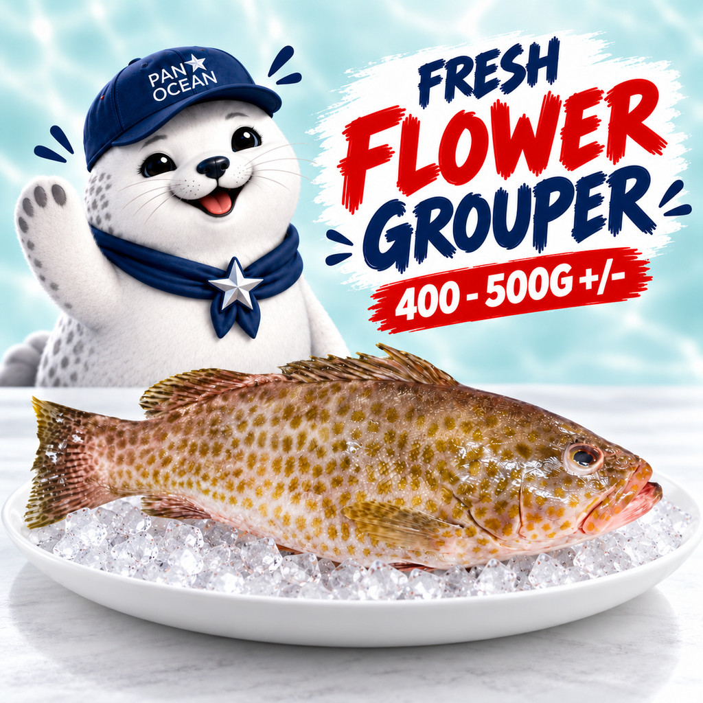 Buy grouper fish At Sale Prices Online - October 2026 | Shopee Singapore