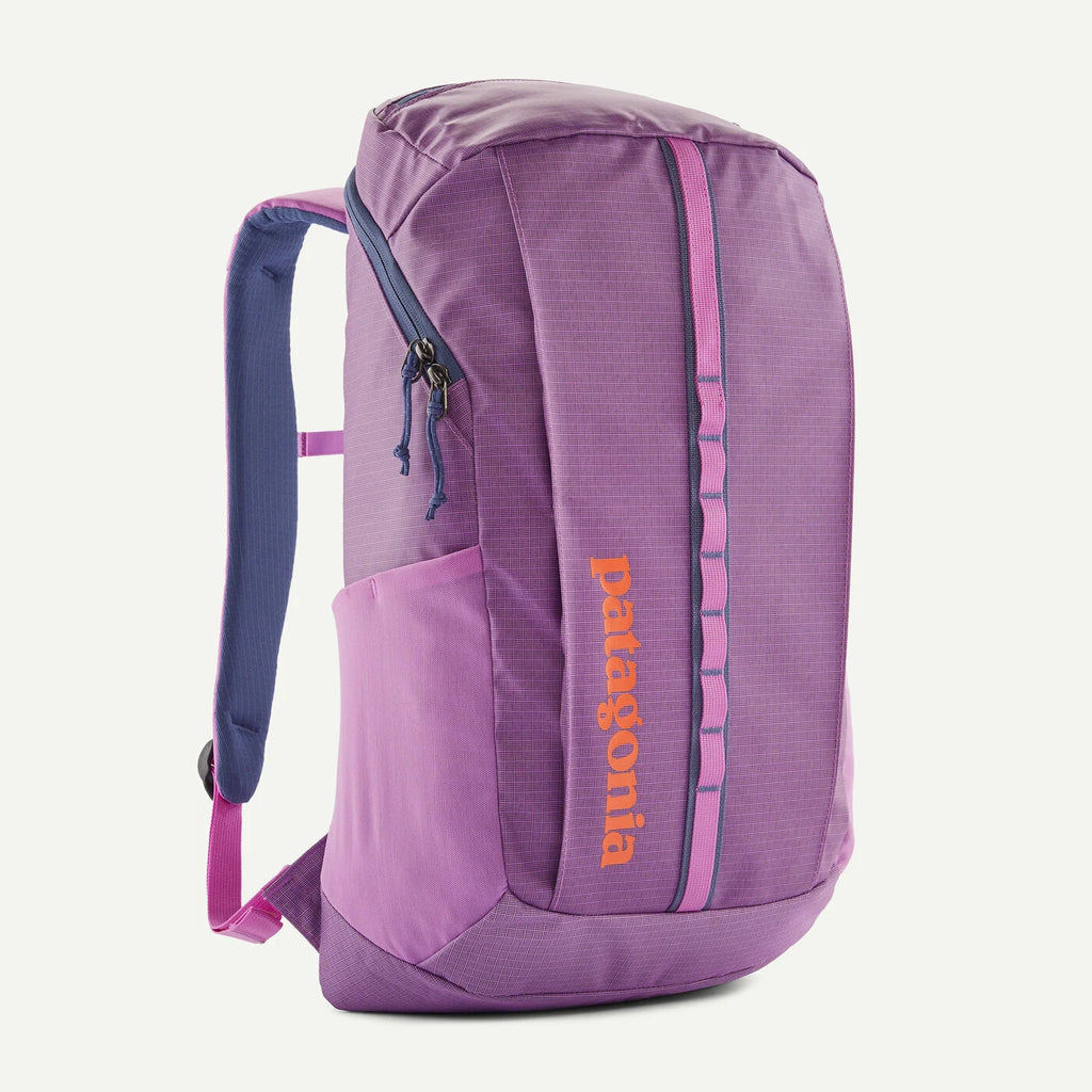 Patagonia Black Hole Backpack Bag 25L/32L | Shopee Singapore