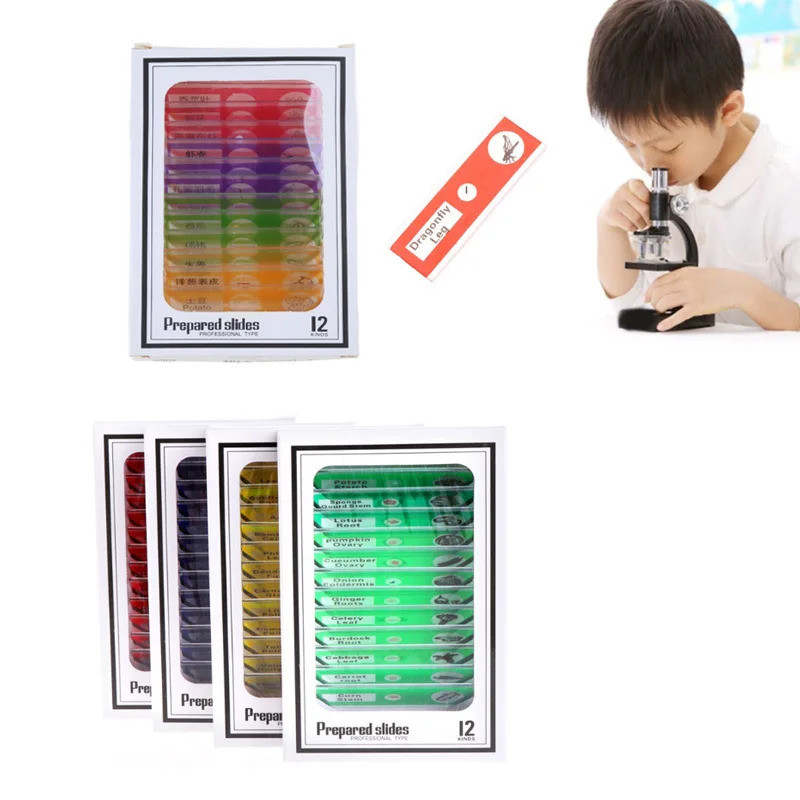 12/48pcs Microscope Slides Lens Biology Plant Flower Animals Sample For ...