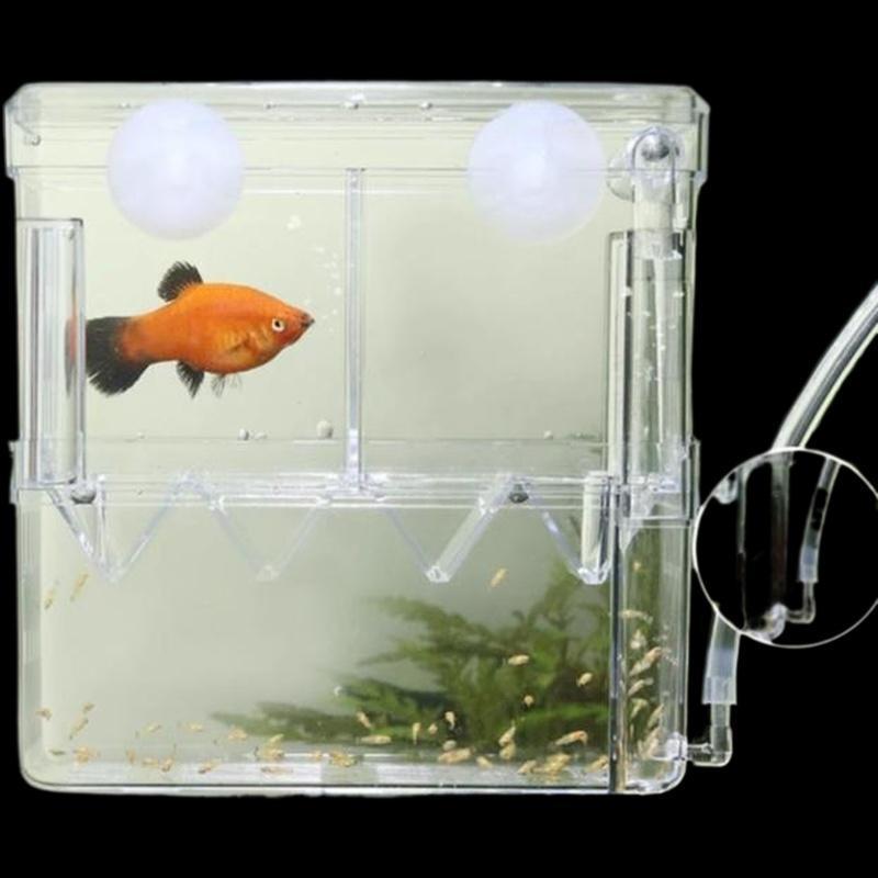 # Beauty Fashion # Peaco Fish Breeding Box Fish Aquarium Acrylic ...