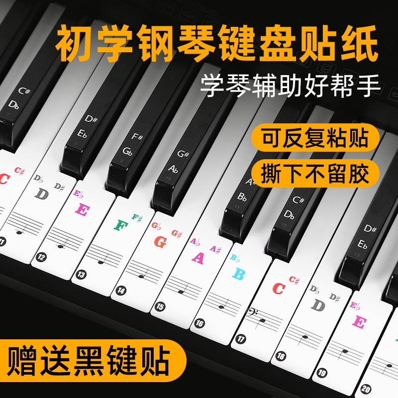 Sticker 88 Note Key Sticker Self-Learning Starter Hand-Rolled Piano ...