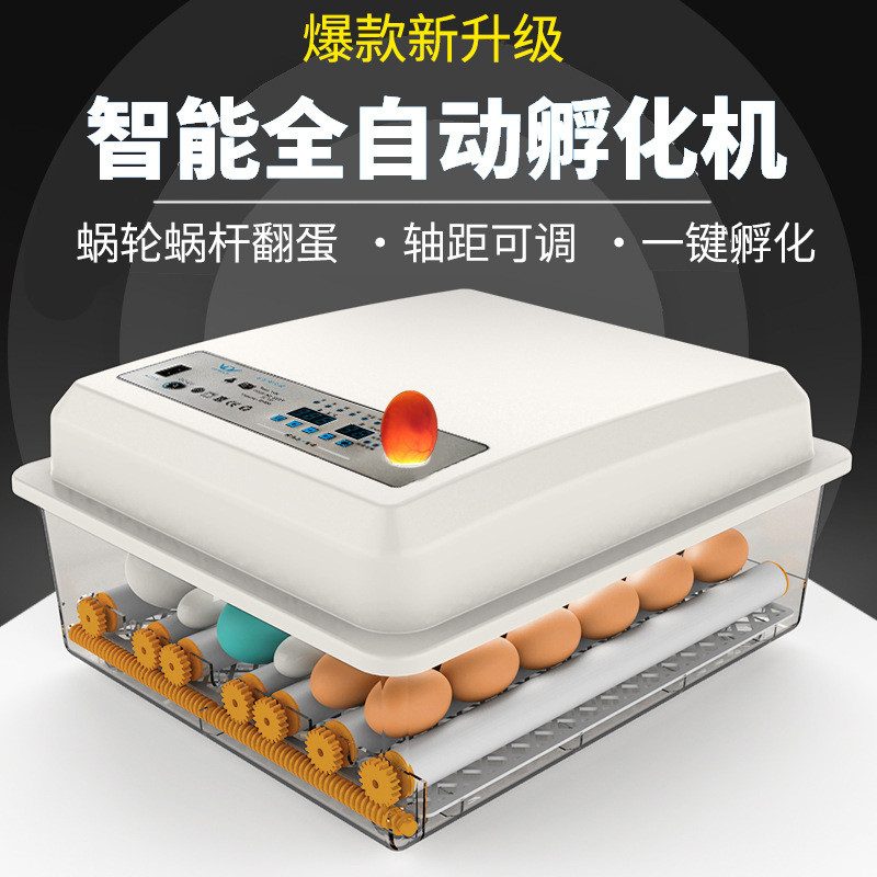 Home Incubator Chicken Egg Hatcher Small Household Incubator Fully ...