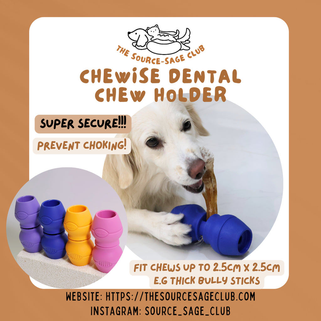 Fresh Look at Chewise Dental Chew Holder Super Secure And Prevents Choking Bully