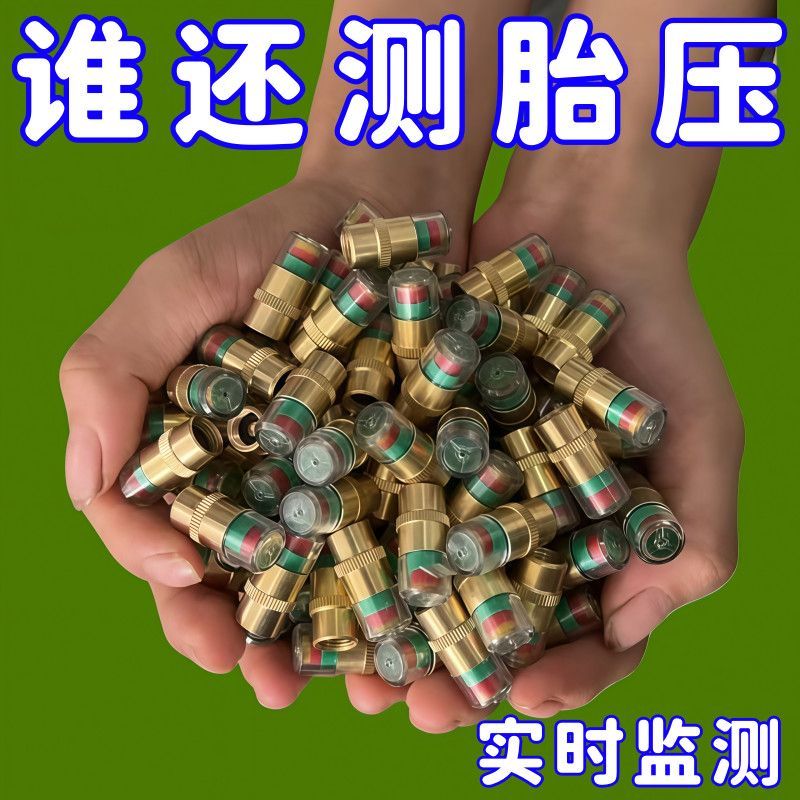 Good Luck Regular Station 2026 Car Tire Pressure Detection Valve Cap ...