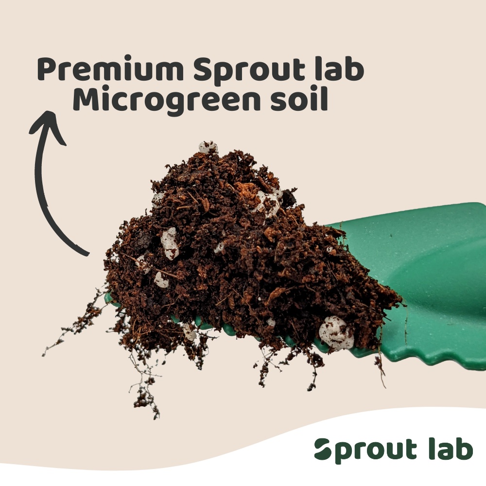 Sprout lab | Herb Paper Cup Grow Kit - Gift Set - Sweet Basil | Shopee ...