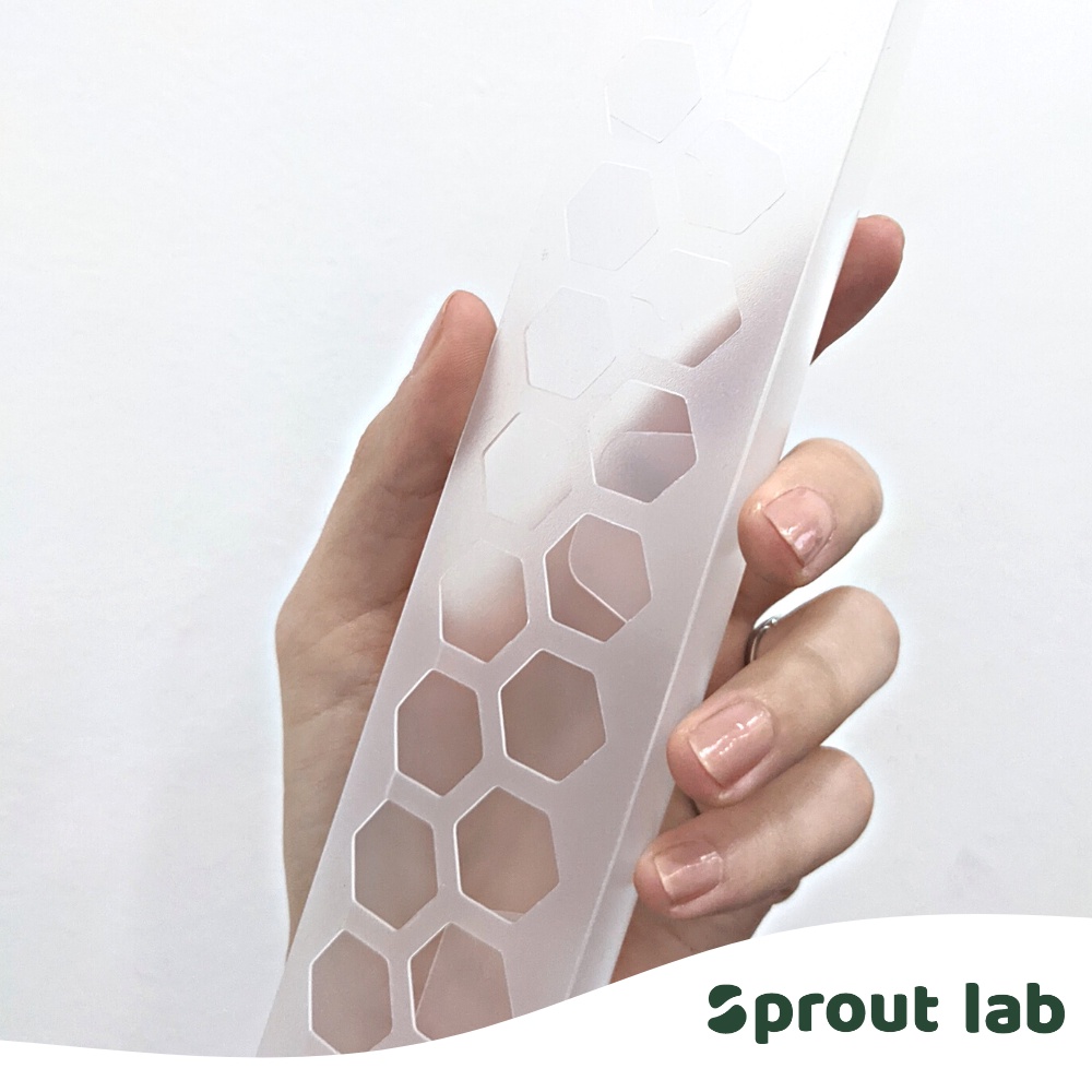 Sprout lab | Plant Climbing Pole for Aroids | Growing pole | Moss Pole ...