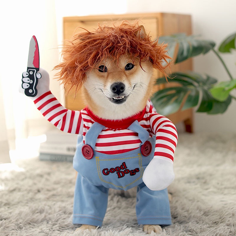 Funny dog dress sales