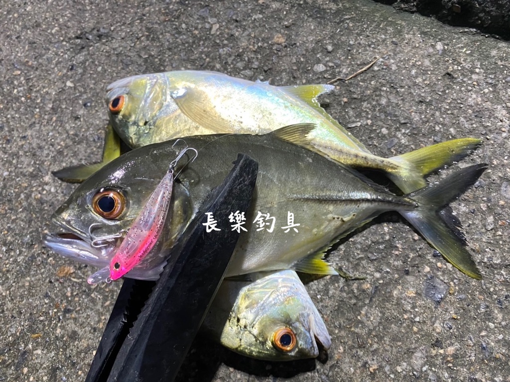 [Changle Fishing Tackle Shop] Japan HARDCORE LG HEAVY MINNOW (S ...
