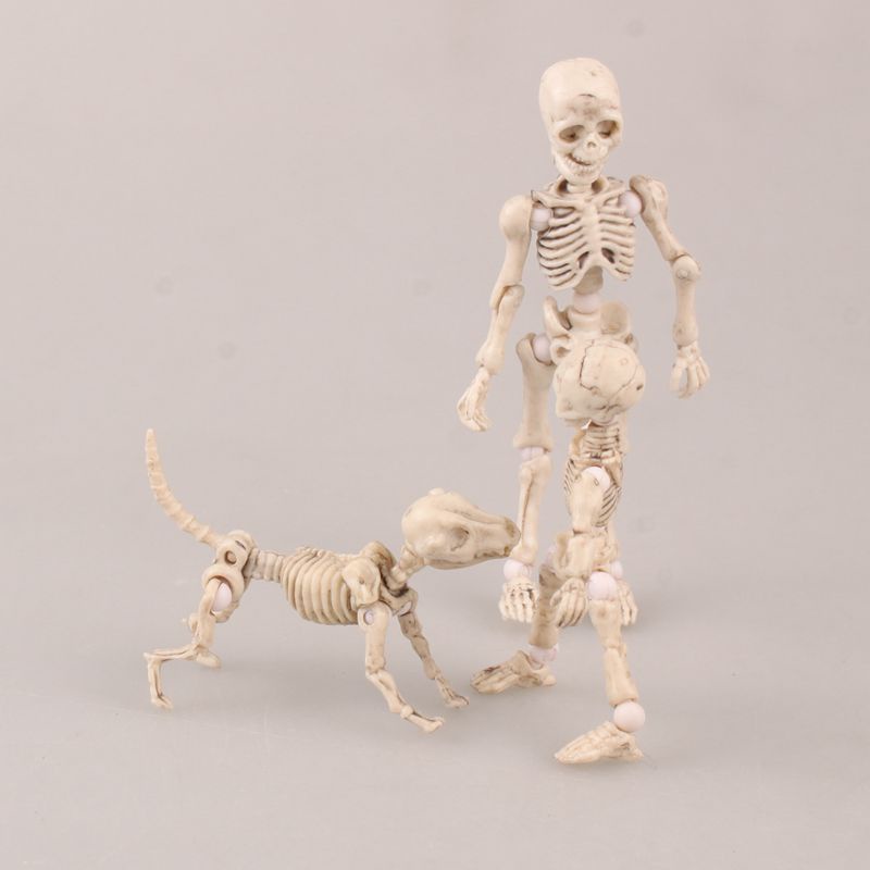 3-8cm Cute Fashion Design Mr. Bones Pose Skeleton Model with Dog Table ...