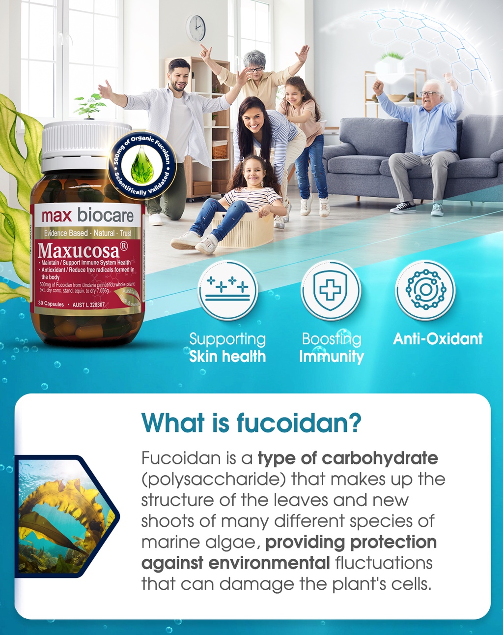 Max Biocare Maxucosa - Clinically validated Fucoidan for Immunity - 30 ...