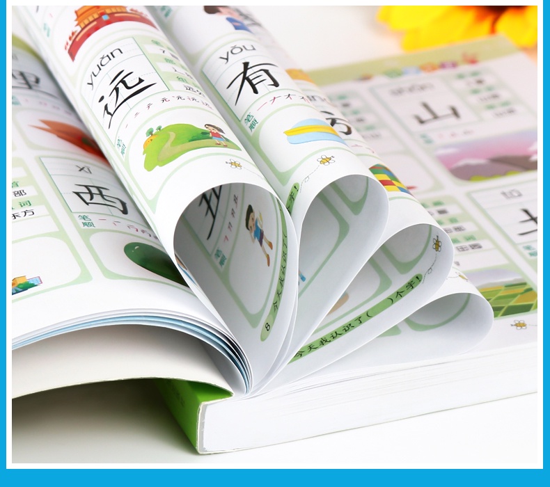 Chinese Characters Kids Writing Books 儿童识字书籍学龄前识字大王启蒙认知0-3-4-5-6岁早教书有图 ...
