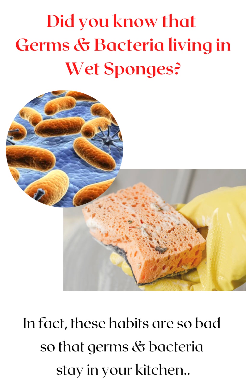 [PURE CLING] Premium Kitchen Sponge Body Sponge | Patent Technology ...