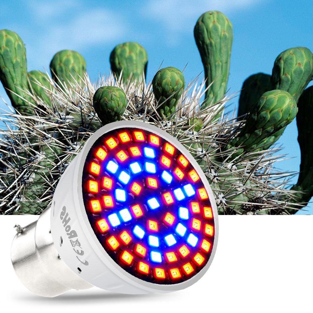 LED Plant Grow Light Bulb E27 Full Spectrum Plants Lamp Hydroponic MR16 ...