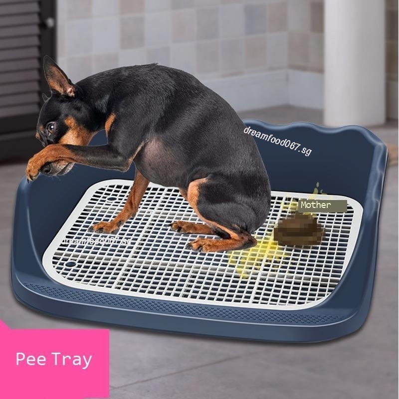 Puppy Pad Holder ALL FOR PAWS Pee Pad Holder, XL Dog Litter Box