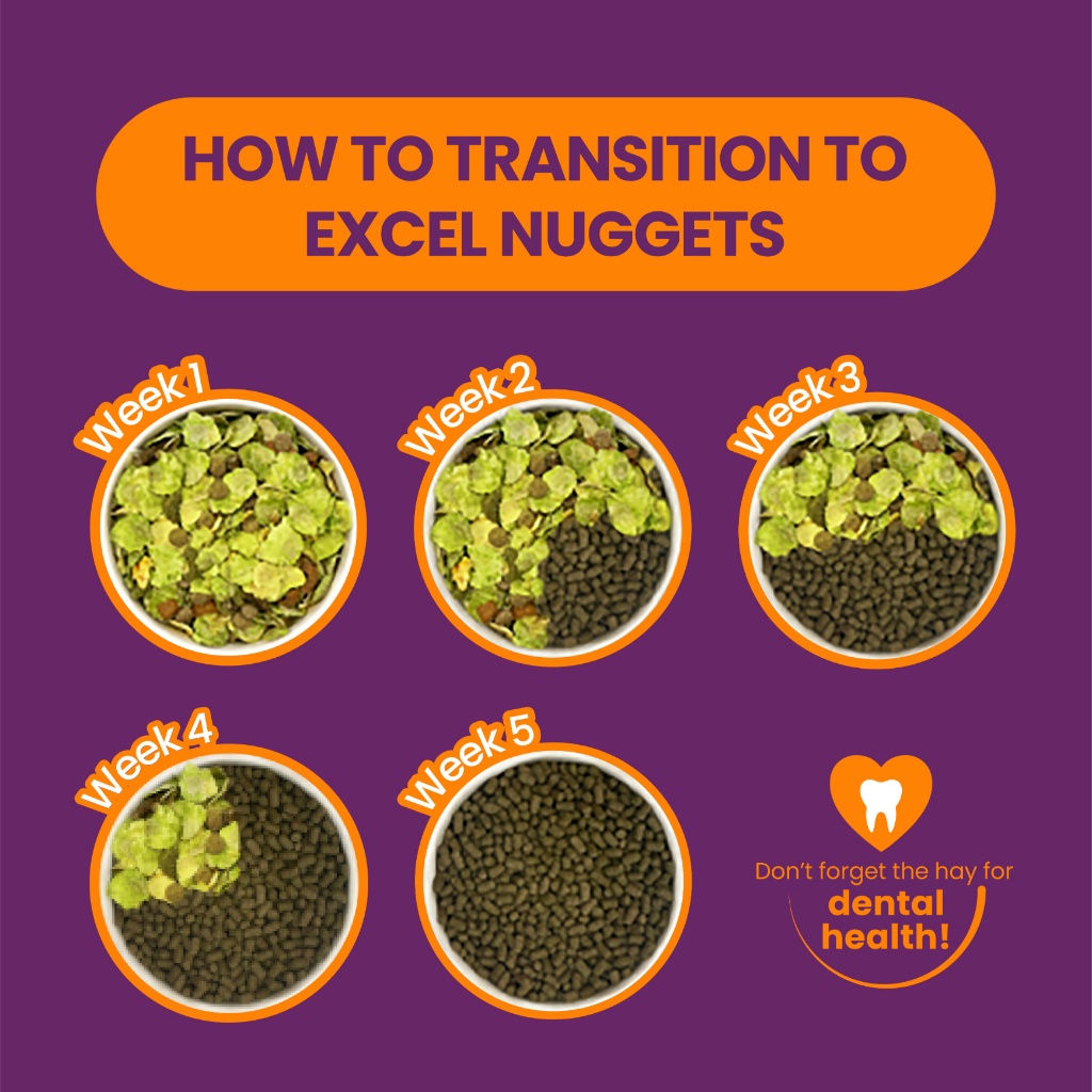 Burgess Excel Guinea Pig Nugget with Blackcurrant & Oregano 1.5kg ...