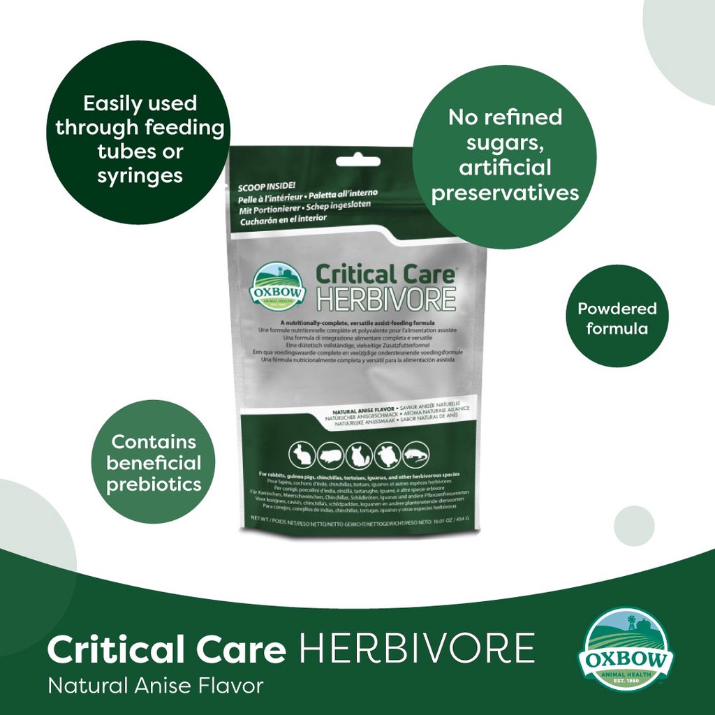 Oxbow Critical Care Herbivore Small Animal Recovery Food 454g ...