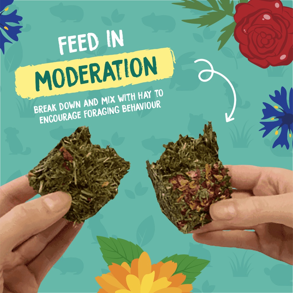 Burgess Excel Nature Snacks Forage & Feast Bar 60g | Rabbit Treats ...