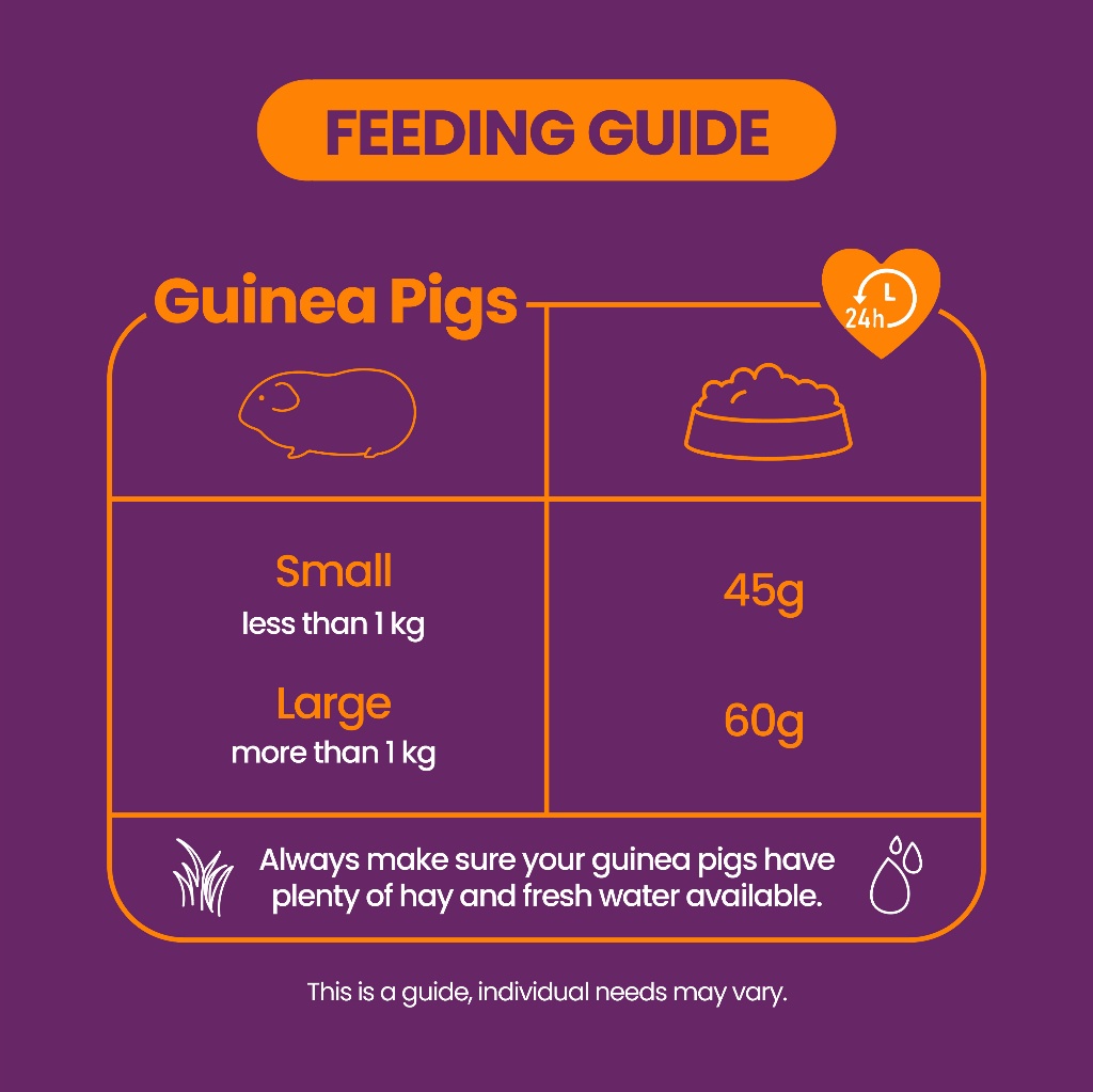 Image showcasing Burgess Excel Guinea Pig Nugget with Blackcurrant & Oregano 1.5kg ...