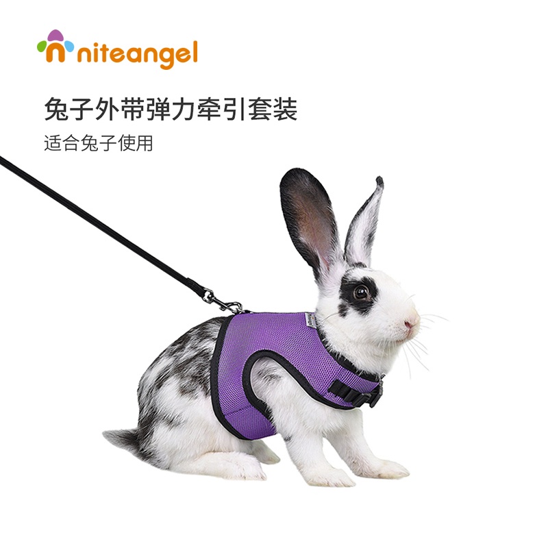 Niteangel deals rabbit harness