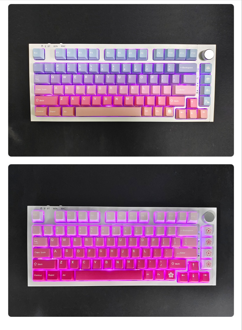 2023 New! 5-side Dye-Sublimation Cherry Profile Sakura/Gradient Rainbow ...