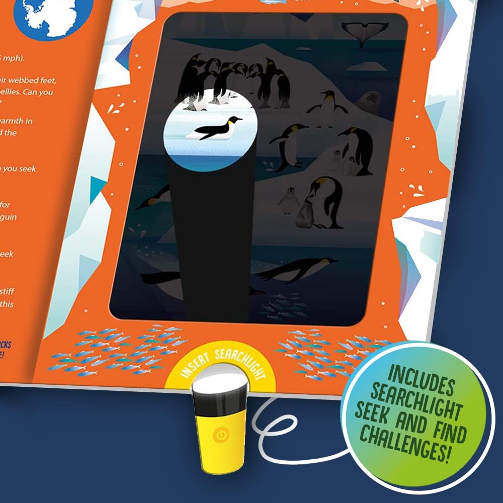 Seek and Find Searchlight Books | Torchlight Book for Children | Animal ...