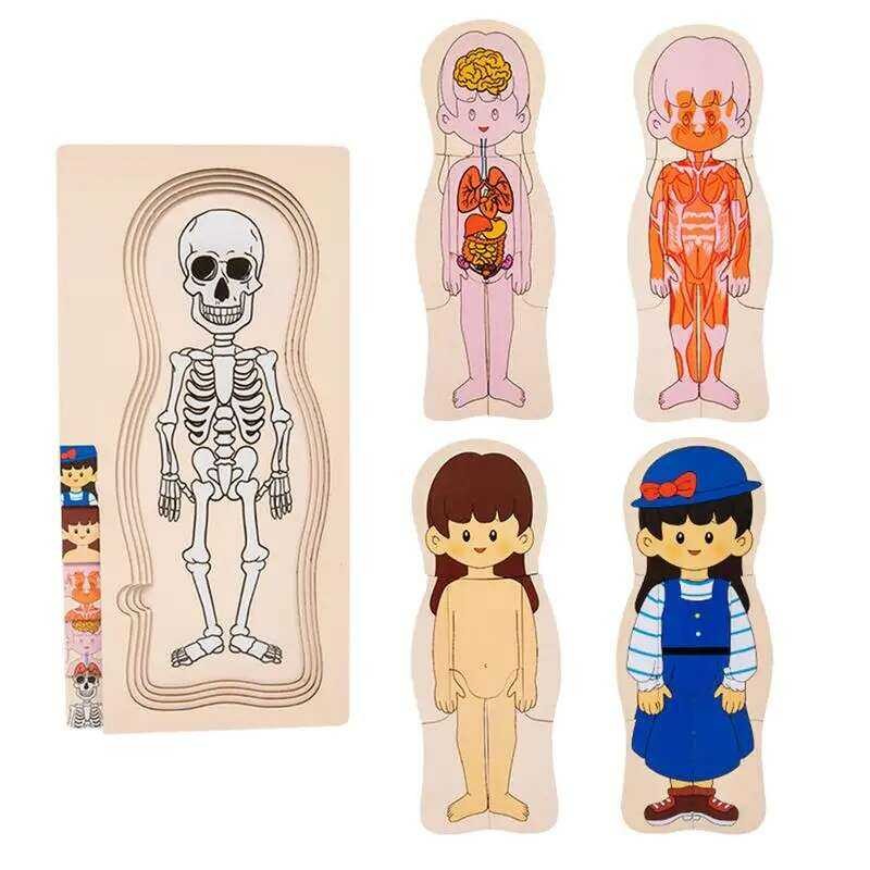 Human Body Puzzle For Kids Anatomy Play Set Educational Anatomy Jigsaw ...