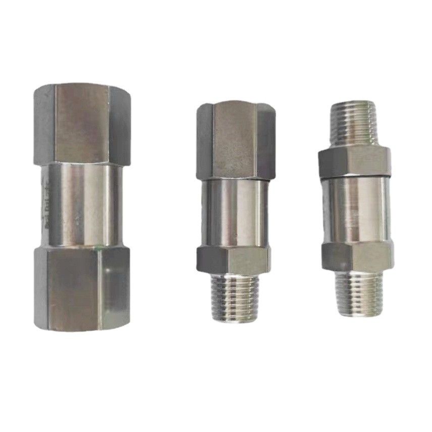 304 SS BSP/NPT 1/8"–1" Inline Check Valve One Way Non-Return for Water ...