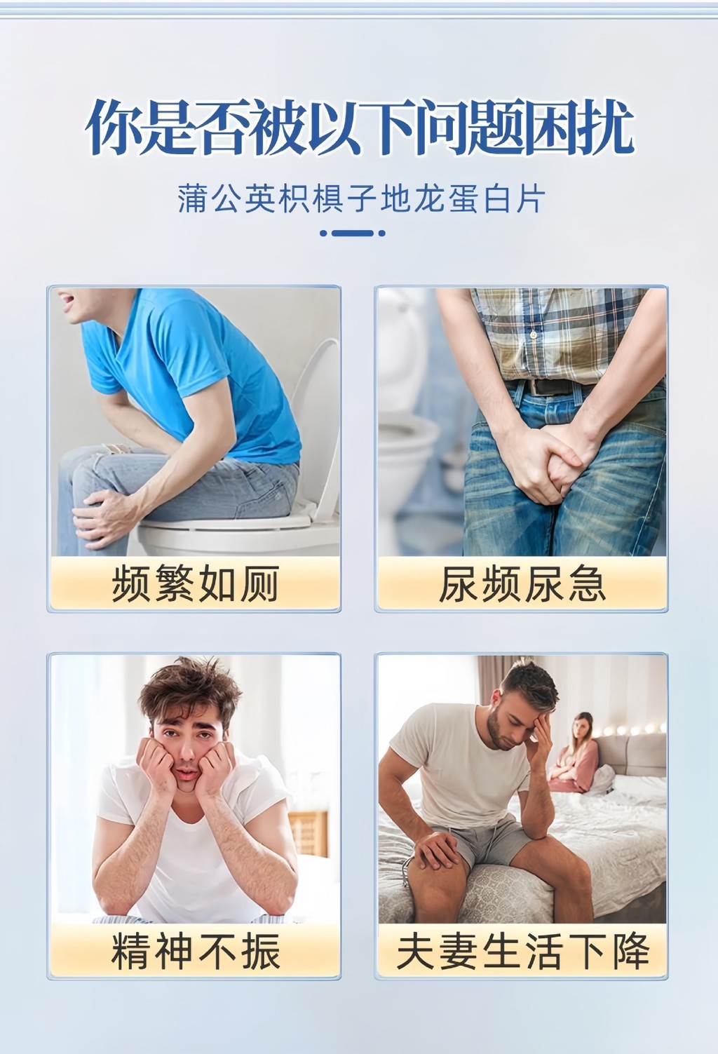 Dandelion earthworm protein tablets Guangyi nutritional food chess ...