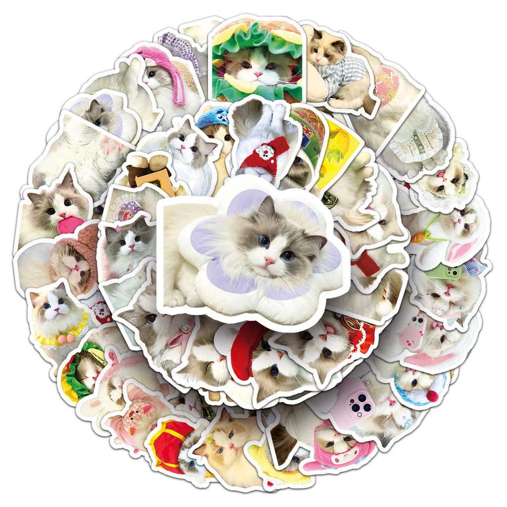 50Pcs Ragdoll Cat Stickers - Cute Cartoon Pet Decor for Water Bottle ...