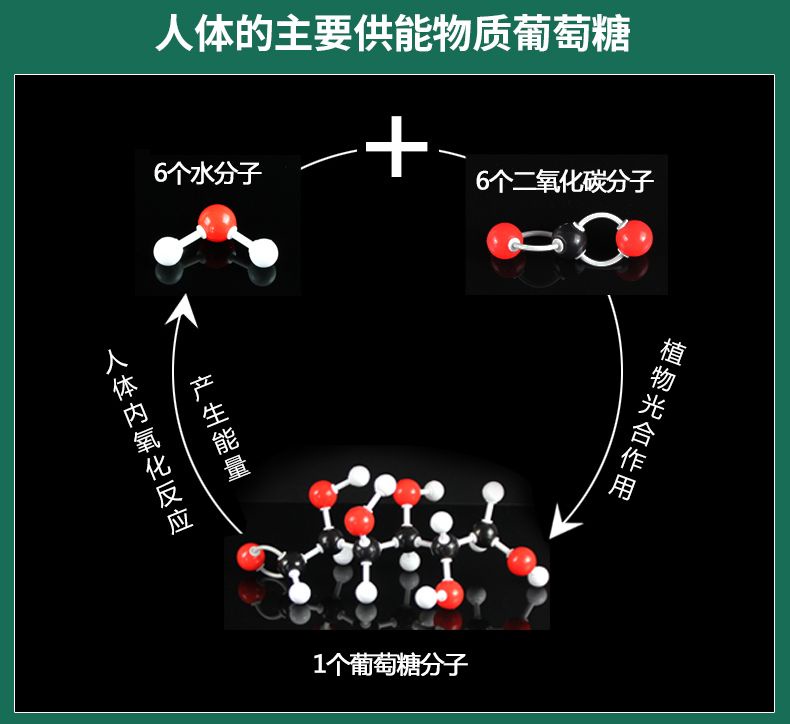 Demonstration of Organic Inorganic Chemical Molecular Structure Model a ...