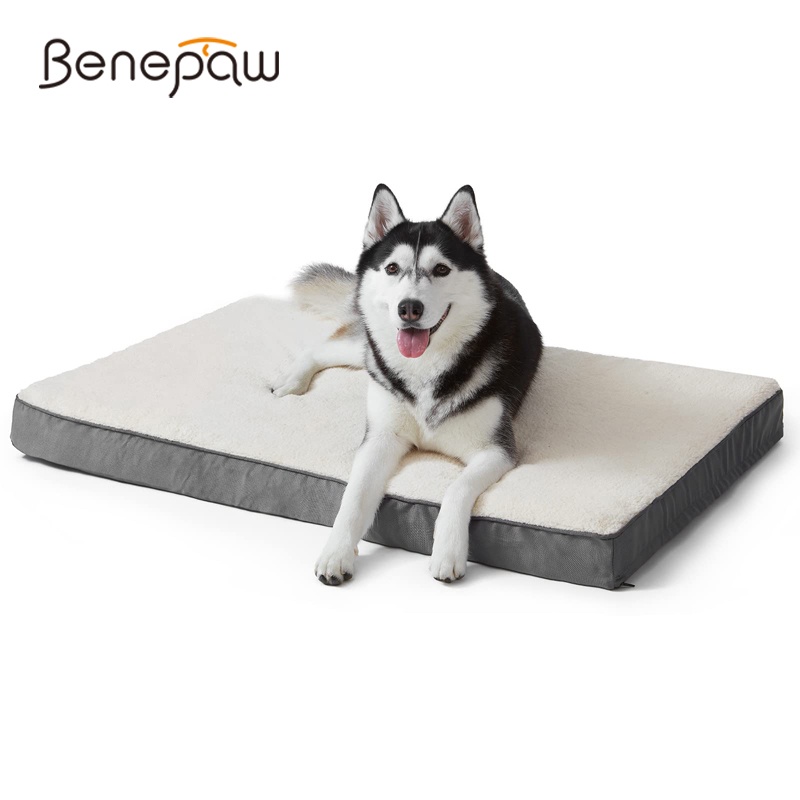 Benepaw Orthopedic Memory Foam Dog Bed For Small Medium Large Dogs Durable Comfy Pet Mat Removeable Cover Puppy Cushion Mattress Shopee Singapore