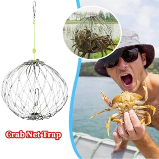 Fishing Net Cage Automatic Open Closing Wire Fish Crab Trap Net Steel Wire  for Saltwater Seawater Outdoor Fishing Accessories - AliExpress
