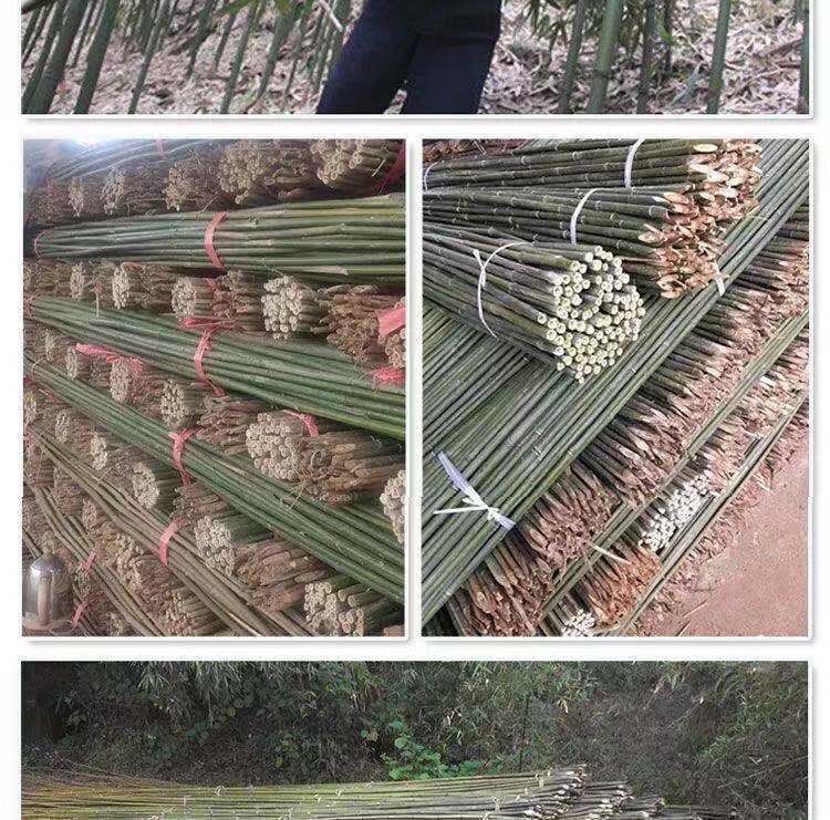 Vegetable Climbing Vine Bamboo Beans Cucumber Bamboo Rod Colorful Flag ...