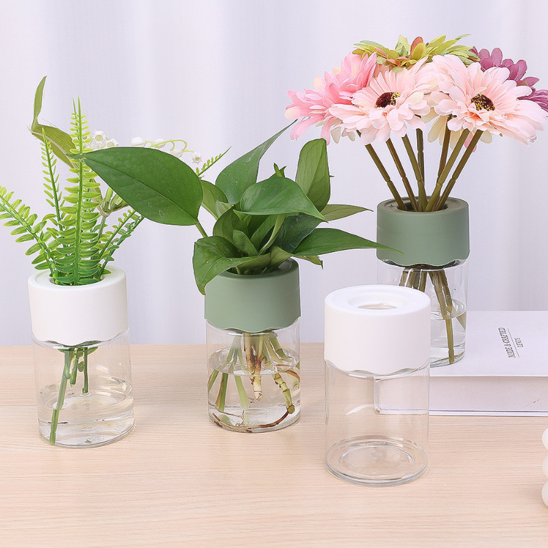 Transparent Hydroponic Basin - Desktop Indoor Small Potted Plant Empty ...