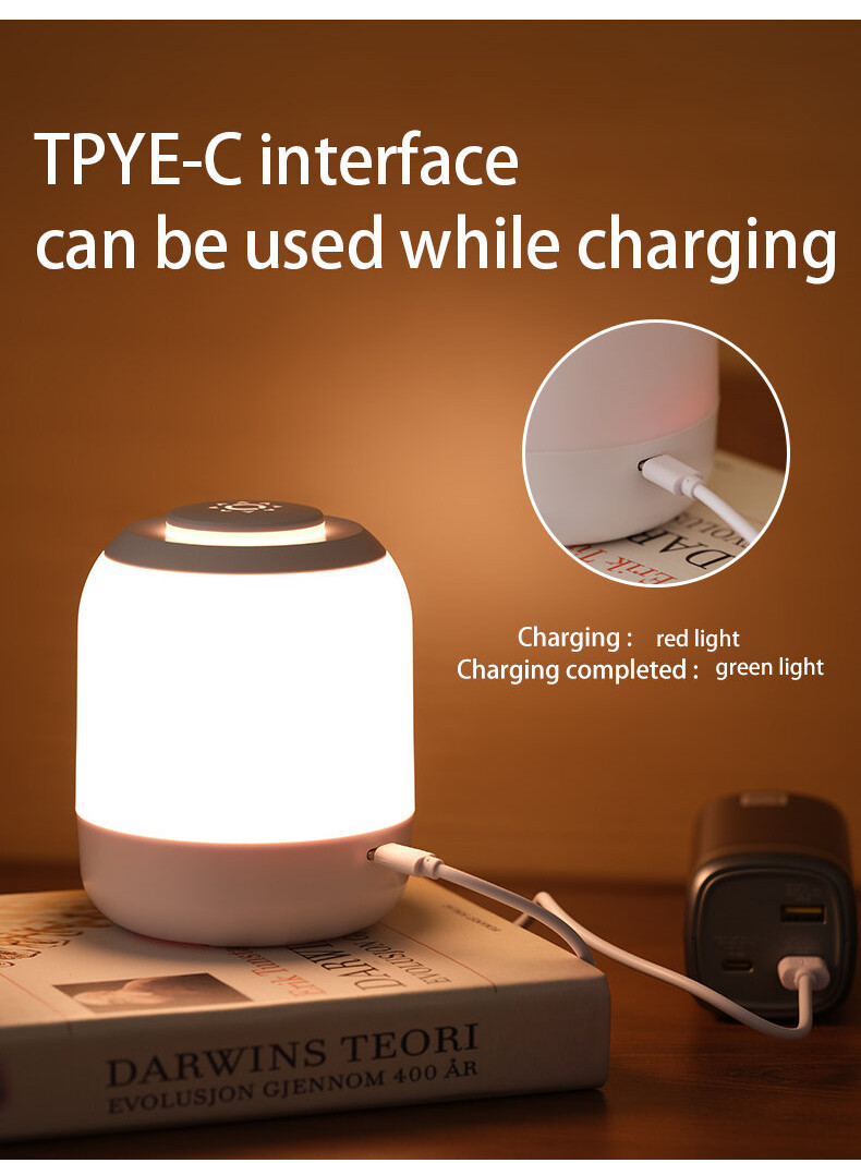 LED Night Light Touch Lamp Table Lamp Bedside Lamp Bedroom Lamp with ...