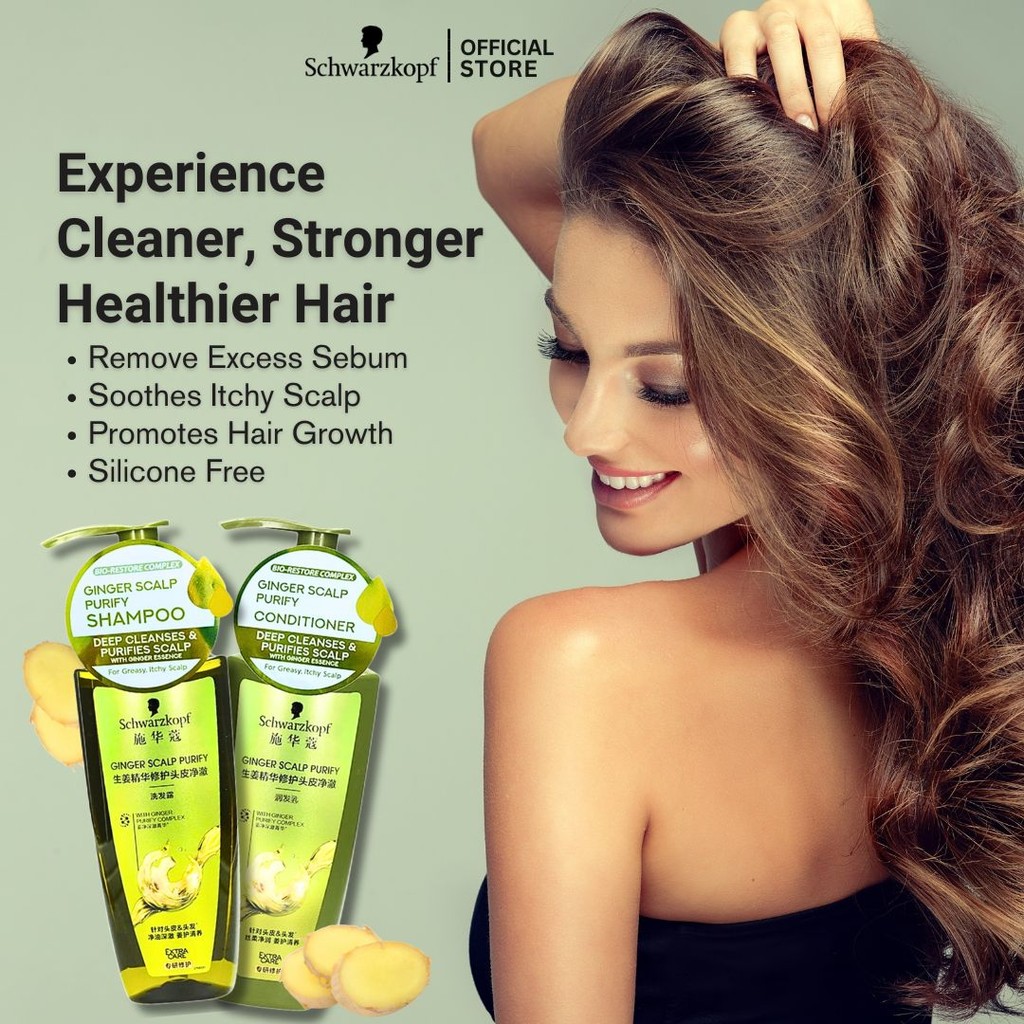 [Bundle of 2] Extra Care Ginger Shampoo + Conditioner for Oily Itchy ...