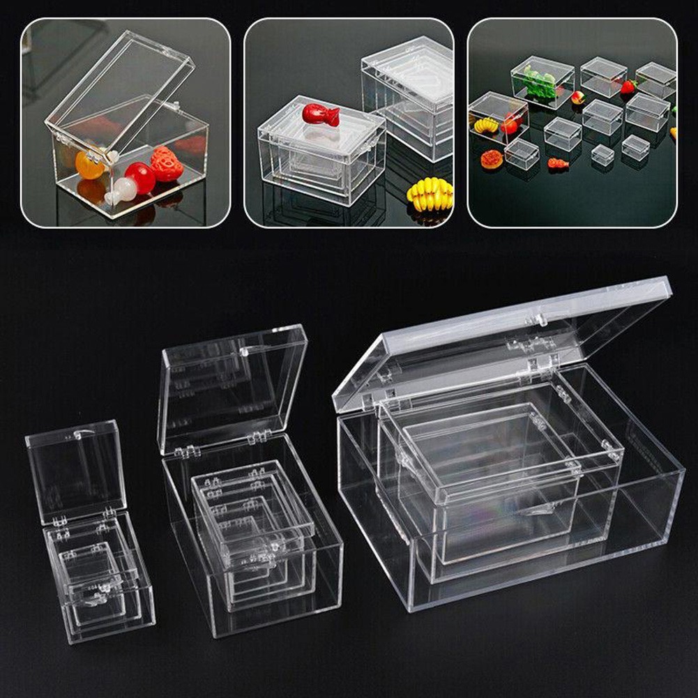 FSFO_Clear Plastic Box Rectangular Insect Specimen Display Desktop ...