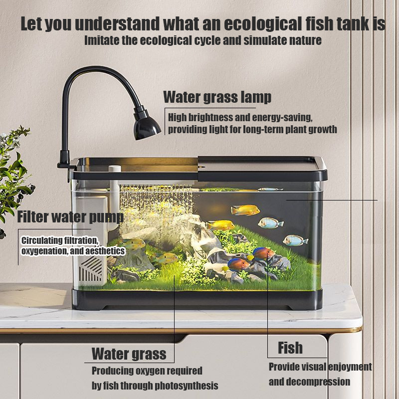 【SG Seller 🚚】Fish Tank Ecological Tank Aquarium Built in Filter/Pump ... - Expandable Goldfish Tank With Built-In Filter
