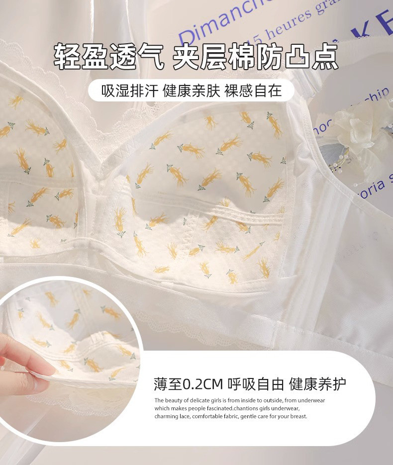 Women's Anti-Sagging Bra, Chest Minimizer, Large Bust Reducer, Gathered ...