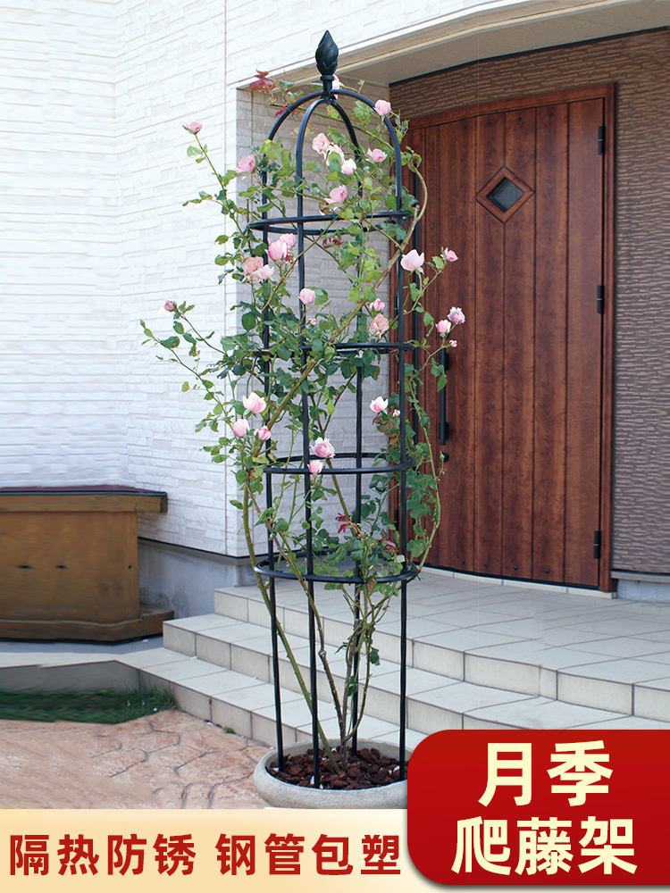 Climbing flower racks/// Flower Stand Climbing Pergola Vine Rose ...