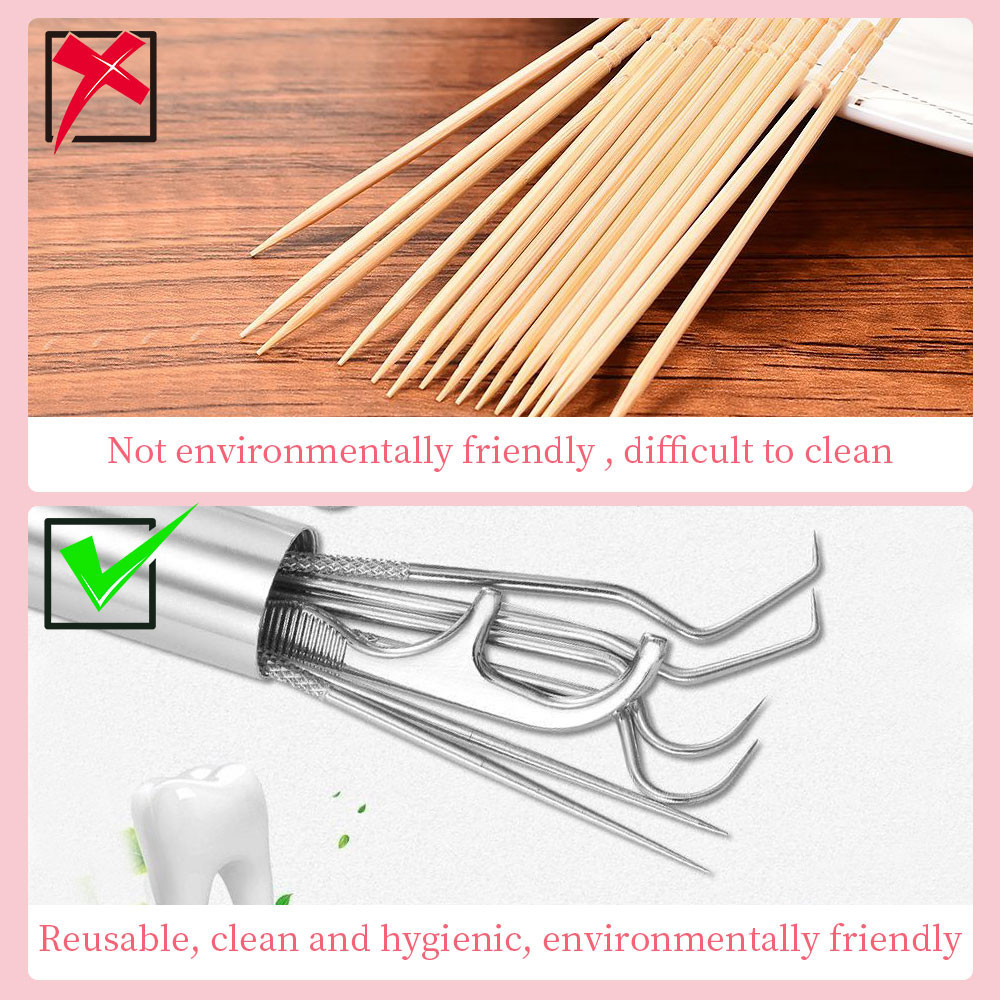 Stainless Steel Toothpick Set Reusable Toothpicks Tooth Flossing Tartar ...