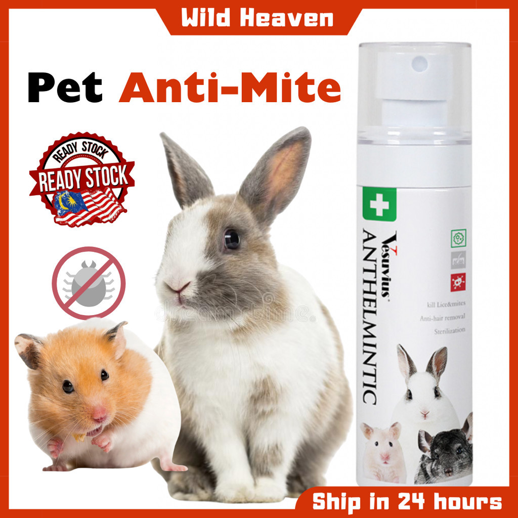Photo inspiration: Gallery Detail: Hamster Spray Pet Specialized Mites Killing For Hamster Rabbit Guinea