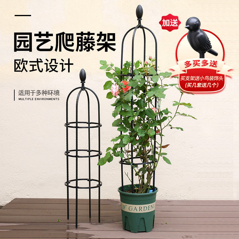 Climbing flower racks/// Rose Flower Stand Climbing Pergola Mountain ...