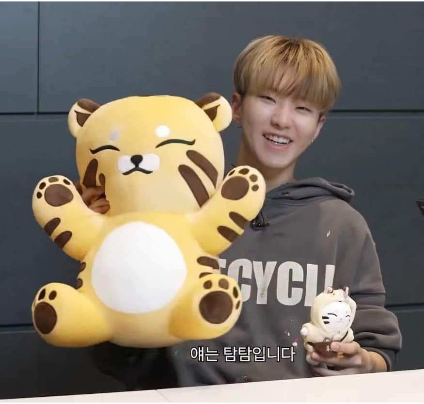 43cm Kpop Idol SEVENTEEN HOSHI Plush Toy TAMTAM Dolls Stuffed