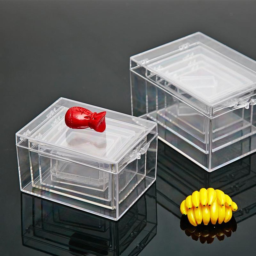 FSFO_Clear Plastic Box Rectangular Insect Specimen Display Desktop ...