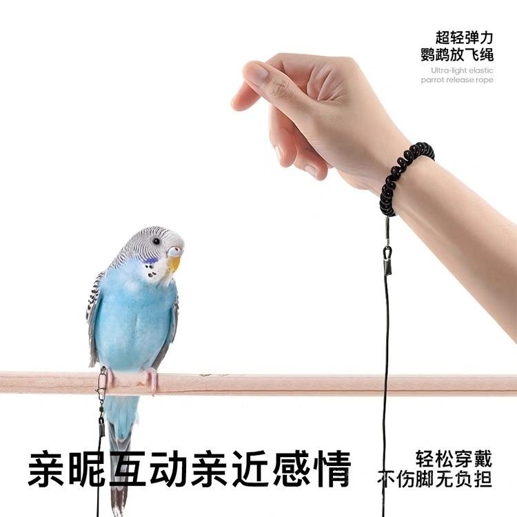 【90% Positive Review Rate】Parrot Releases The Flying Rope Without ...