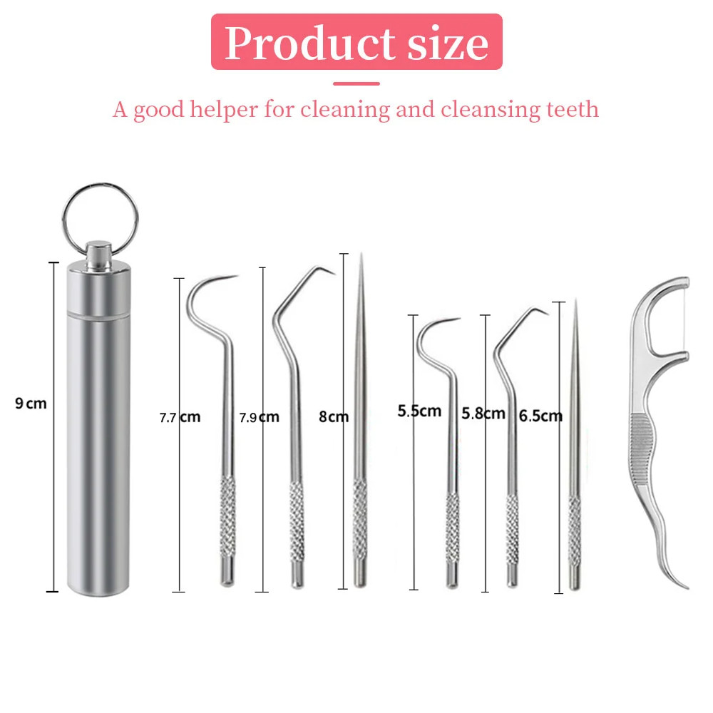 Stainless Steel Toothpick Set Reusable Toothpicks Tooth Flossing Tartar ...