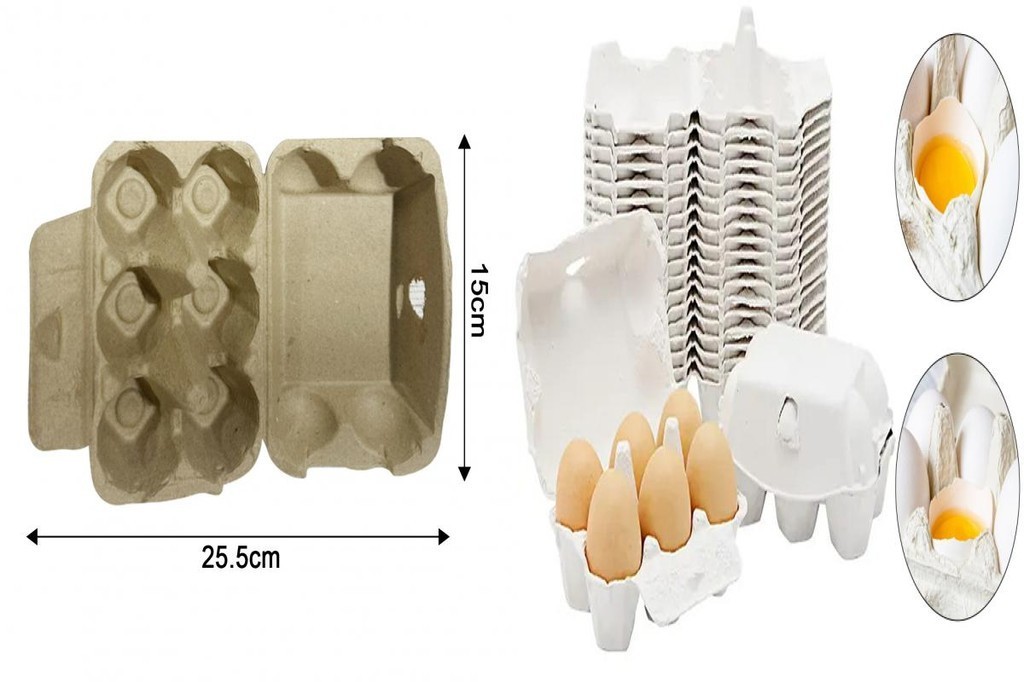 SLS_ Paper Egg Cartons 6-egg Paper Cartons 10 Pack Reusable Egg Cartons ...