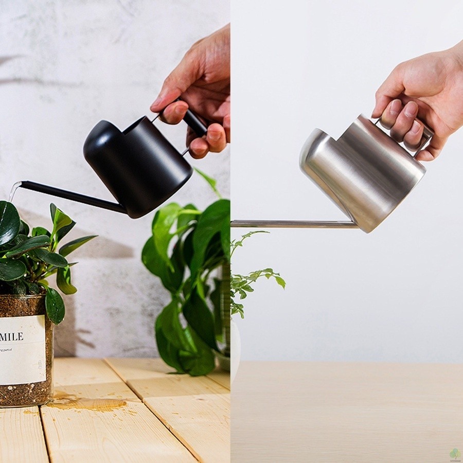 IMEEA Mini Stainless Steel Watering Can – 11oz (300ml) Long Spout Indoor Plant Watering Can