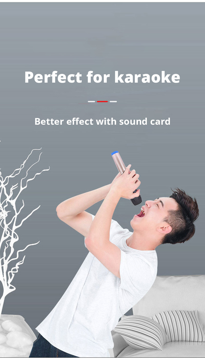 Professional UHF Handheld Microphone Rechargeable Wireless Mic Work ...